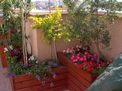 גינות לגלריה 13